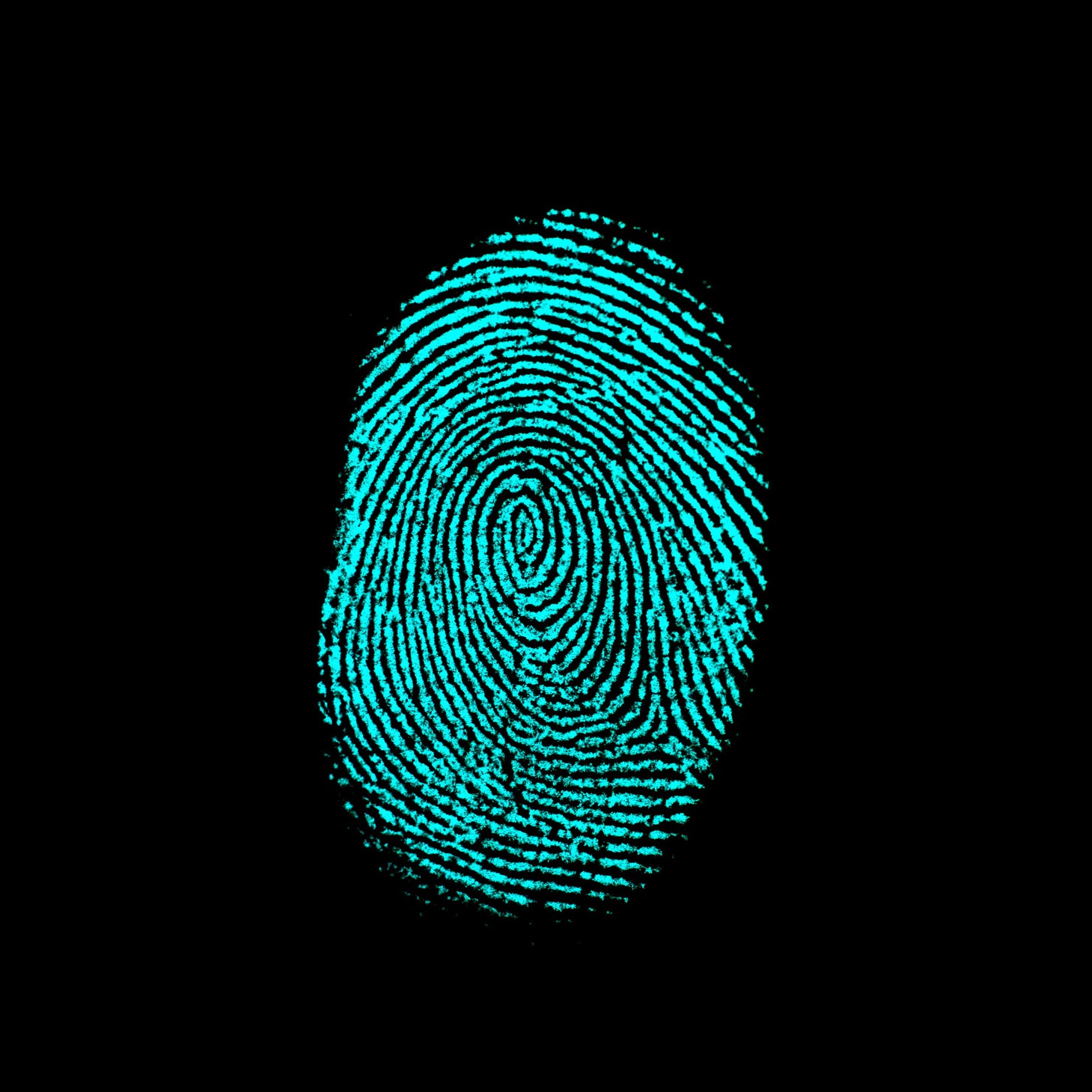 Voice fingerprint protection illustration